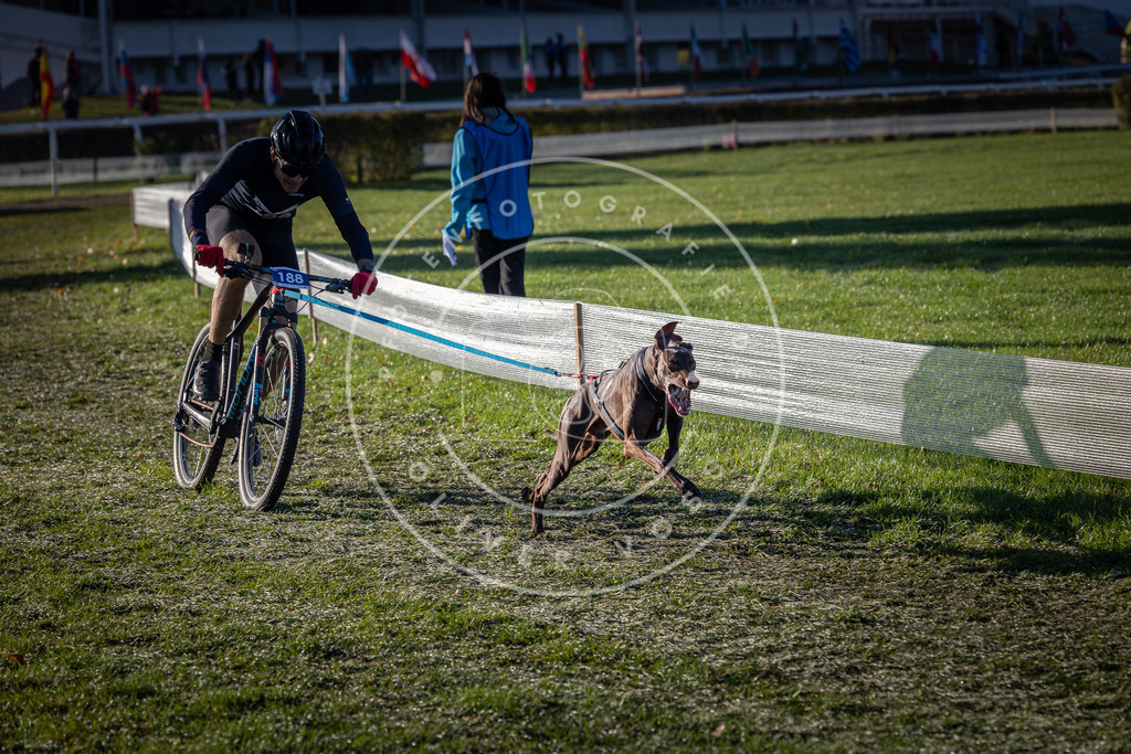 CaniXpix_0L8A4176 | Hundefotografie, Tierfotograf, Pfotenfotografie, Fotoshooting Hund, Hunde Portrait, Hundesport, Hundeportraits, Heideshooting, Hunde, Sportfotograf, Hundefotograf, Turnierhundsport, THS,  - Realisiert mit Pictrs.com