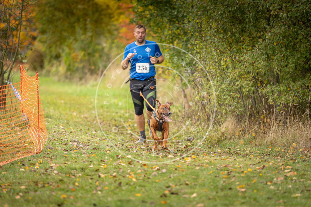 Pfotenfotografie_DV3A4420 | Hundefotografie, Tierfotograf, Pfotenfotografie, Fotoshooting Hund, Hunde Portrait, Hundesport, Hundeportraits, Heideshooting, Hunde, Sportfotograf, Hundefotograf, Turnierhundsport, THS,  - Realisiert mit Pictrs.com