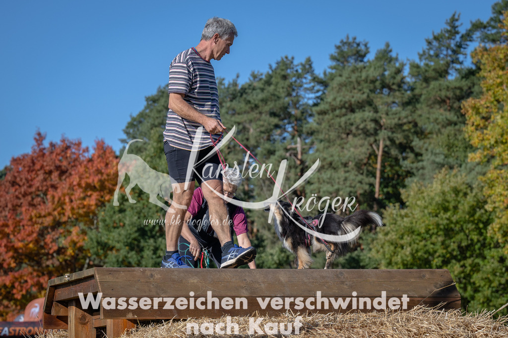 1134_ZZ90759 | kk-dogfotos