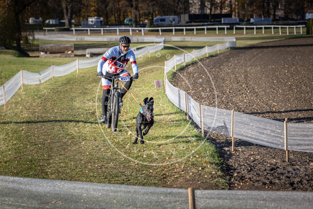 CaniXpix_DV3A3332 | Hundefotografie, Tierfotograf, Pfotenfotografie, Fotoshooting Hund, Hunde Portrait, Hundesport, Hundeportraits, Heideshooting, Hunde, Sportfotograf, Hundefotograf, Turnierhundsport, THS,  - Realisiert mit Pictrs.com