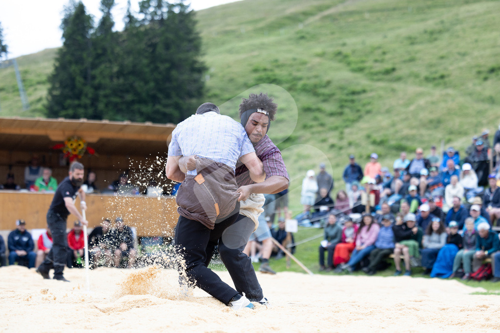 Rigi2025_0272 | Die Schwinger des Schwyzer Kantonalen Schwingerverbandes: Fotos, die Dynamik und Leidenschaft festhalten, sowie emotionale Momente aus dem traditionellen Schwingsport zeigen. - Realisiert mit Pictrs.com