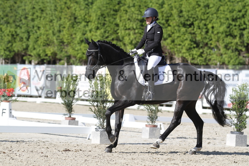 _MG_3055 | equestrian-live-com
