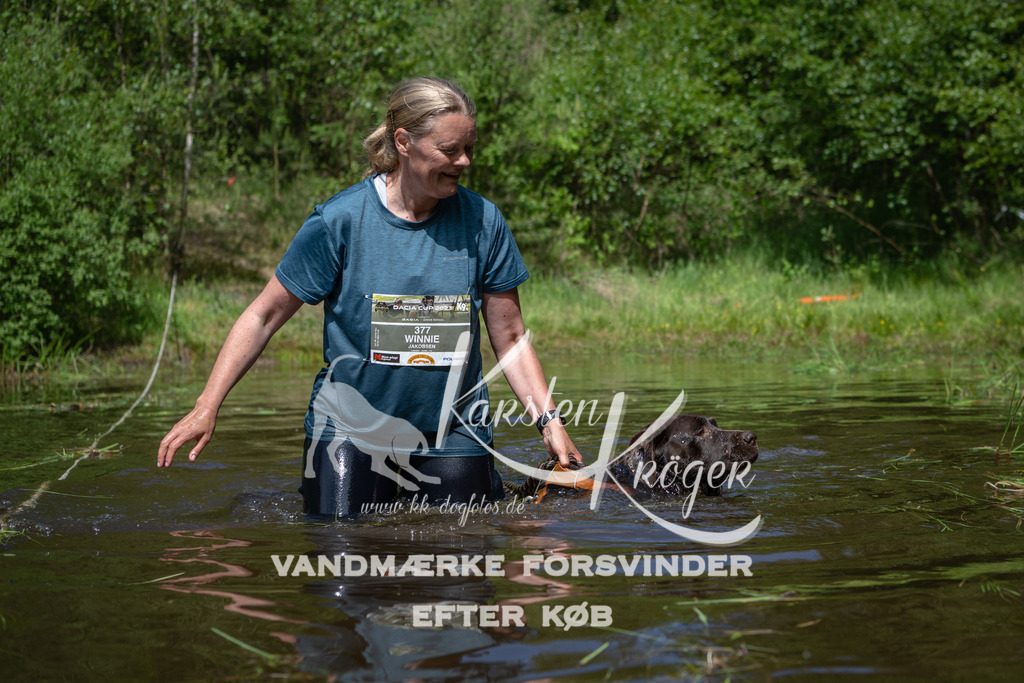 1202DKK991555 | kk-dogfotos