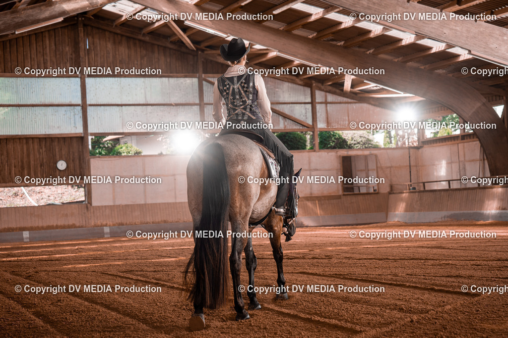 NE100317 | dv-media-shop - Realisiert mit Pictrs.com