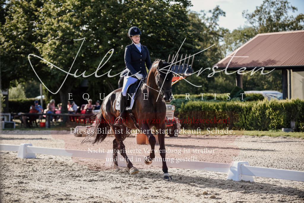 DSC_0579 | Pferde- und Turnierfotografie in Westsachsen. Pferdeportraits, Auftragszeichnungen und intuitive Kunst.