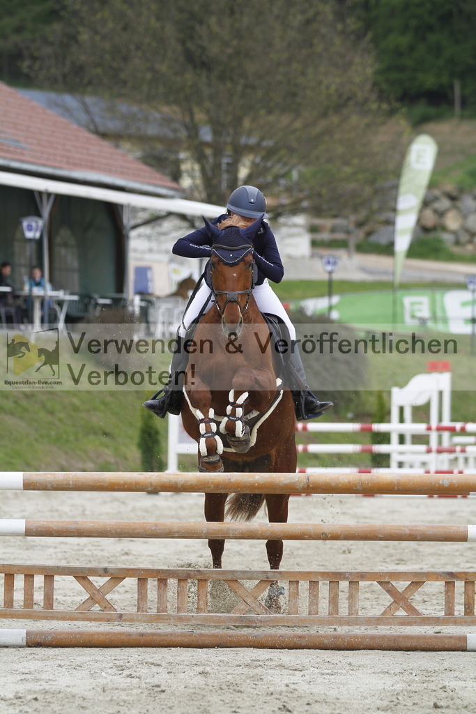 _MG_1189 | equestrian-live-com