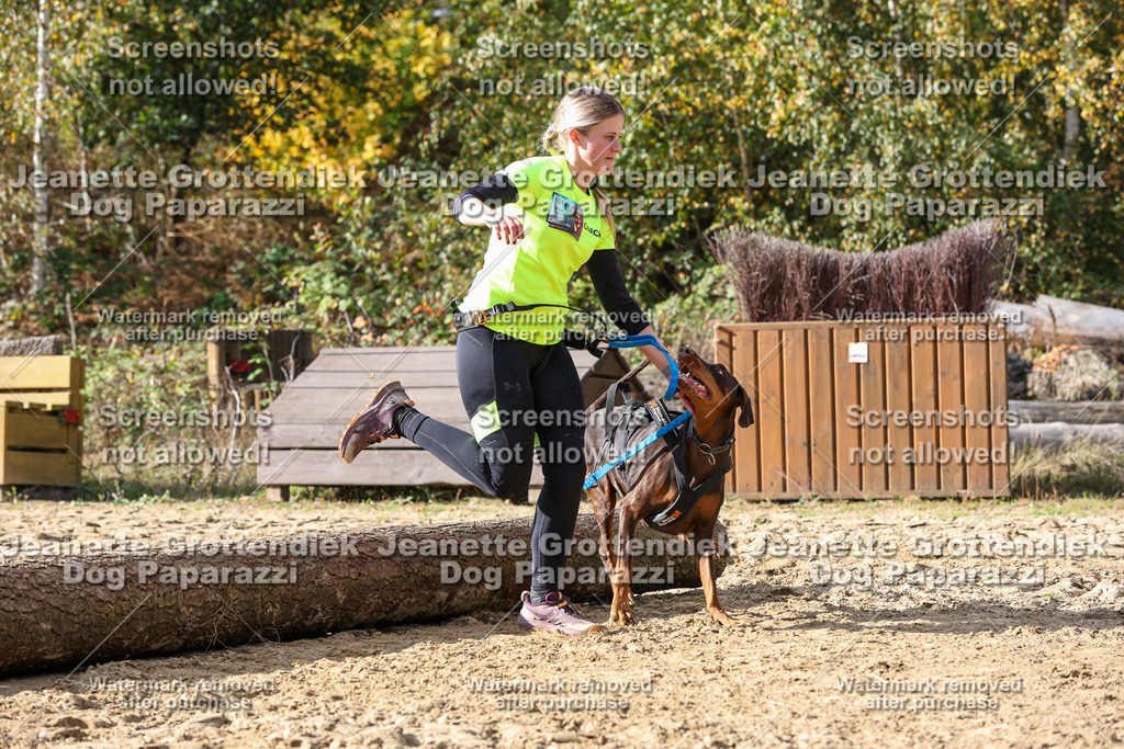 Dog Paparazzi - Strongdog 10-25-5704 | Dog Paparazzi Jeanette Grottendiek Fotografie & Videografie - Realisiert mit Pictrs.com