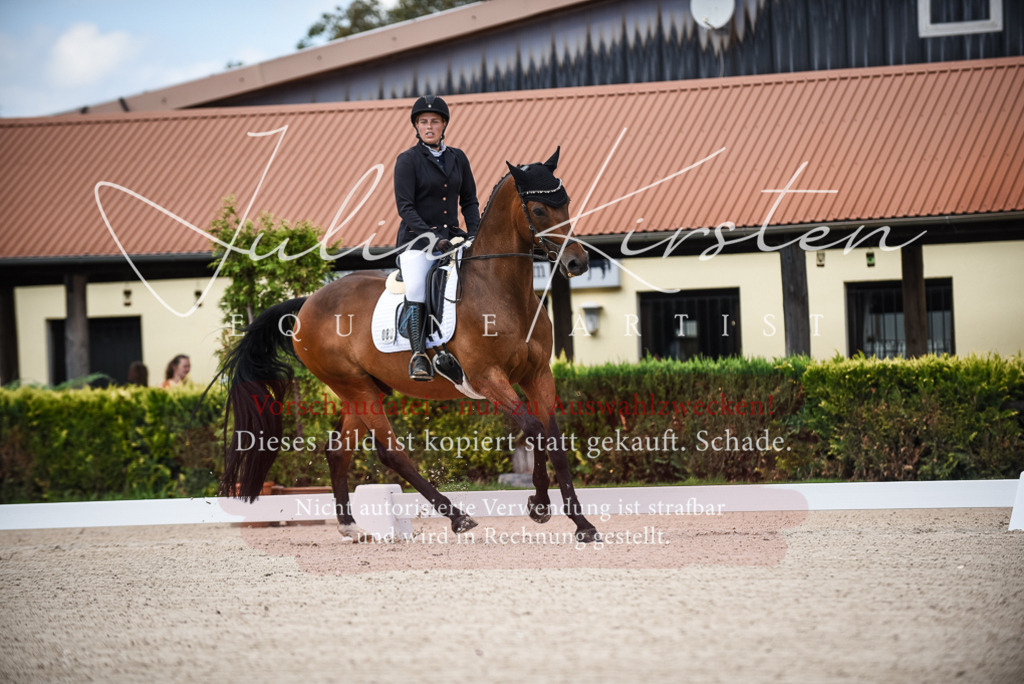 DSC_9015 | Pferde- und Turnierfotografie in Westsachsen. Pferdeportraits, Auftragszeichnungen und intuitive Kunst.