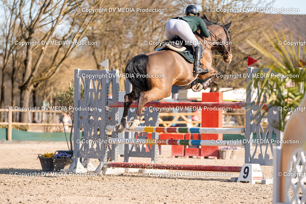 Kranichstein Tag 2-0989 | dv-media-shop - Realisiert mit Pictrs.com