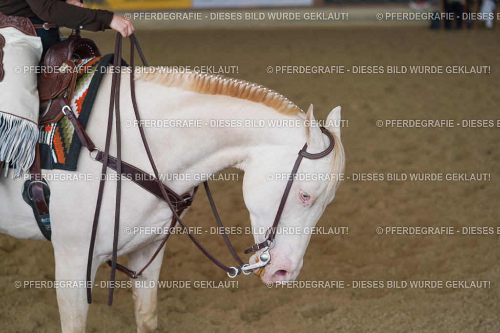 DSC00570 | Pferdegrafie