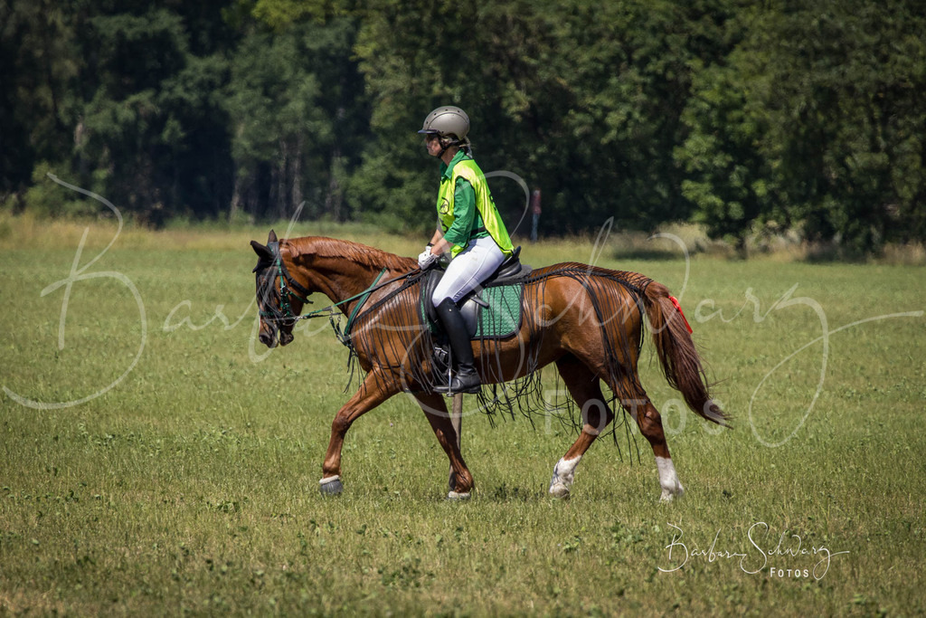 CJP_2026-06-26_05 | Stimmungsvolle Fotografie von Pferden, fotografische Begleitung von Veranstaltungen, Golfturnieren und Distanzritten - Realisiert mit Pictrs.com
