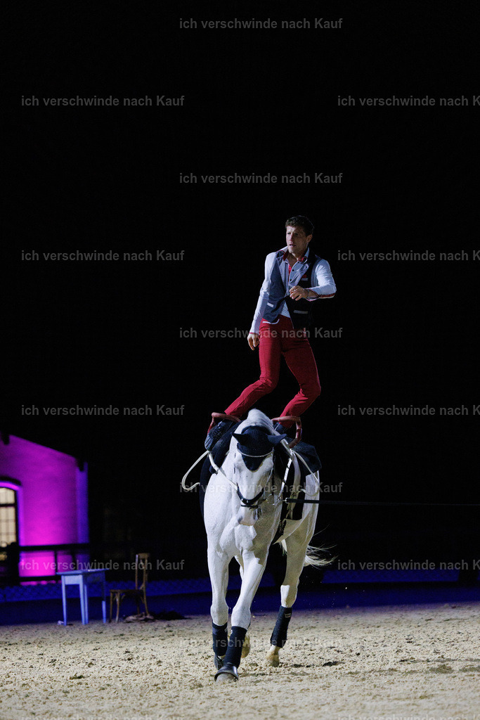 FHClassics-212 | working equitationturnier fotograf videograf stoibphotography marixx film working equitation deutschland reitsport turnierfotografie eventfotografie equestrian events