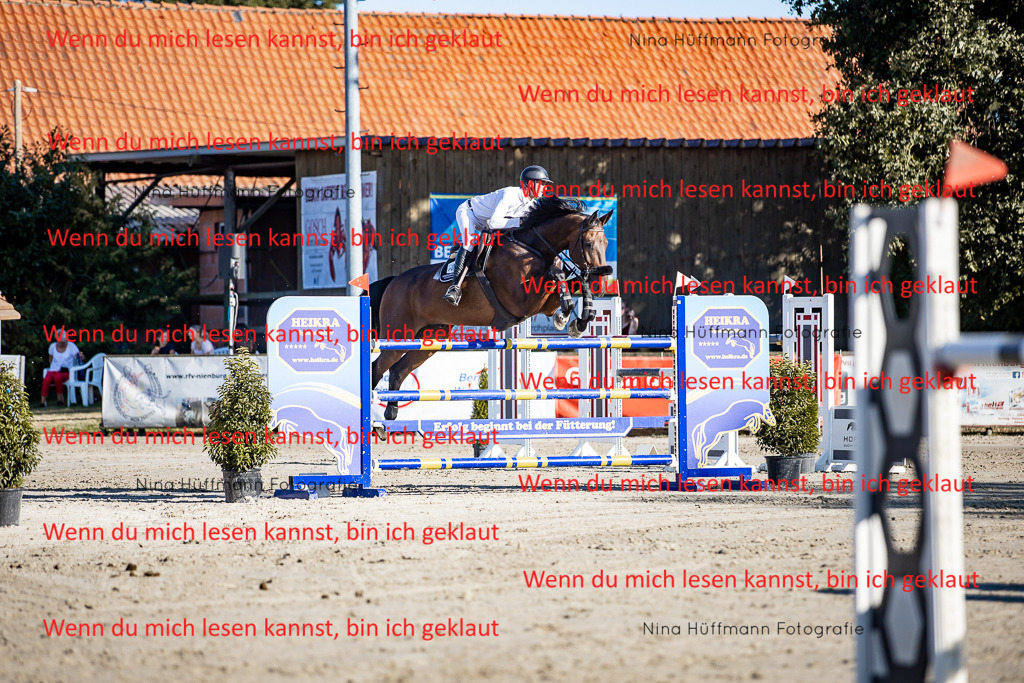 BK1A8220 | Turnierbilder Turnierfotos Nina Hüffmann Turnierfotografie Pferdefotografie Tierzeichnung Haustierzeichnung Pferdezeichnung Hundezeichnung Videograf  - Realisiert mit Pictrs.com