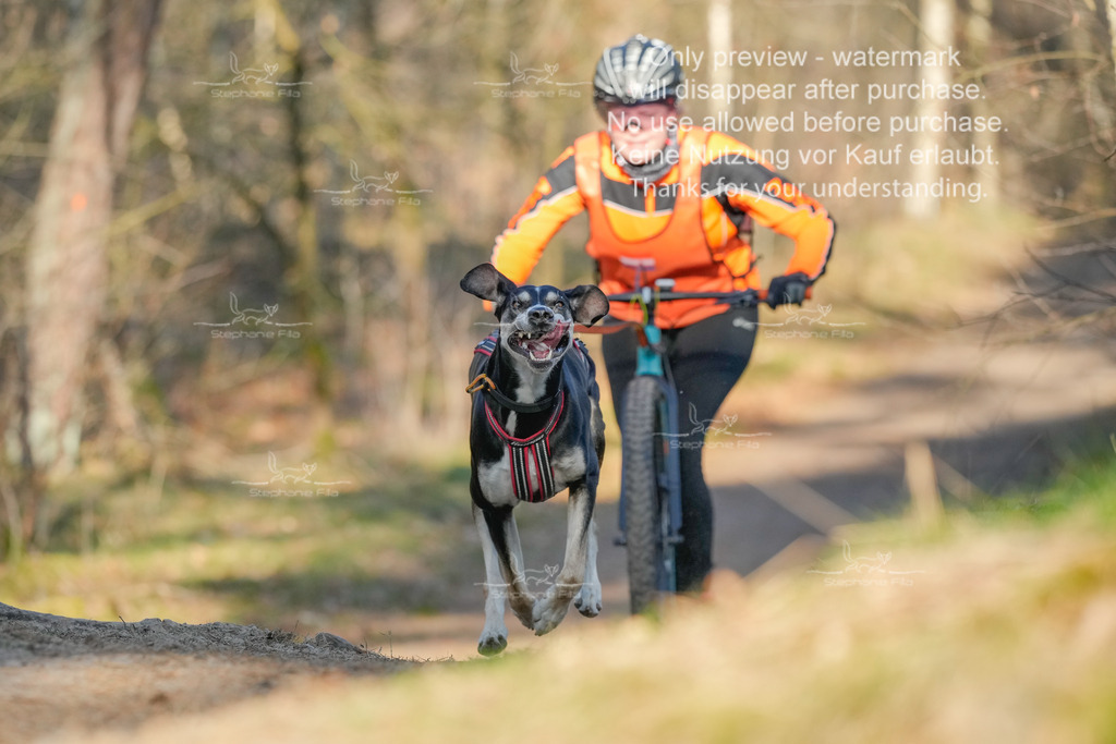 Sa_Scooter-157 | stephaniefillaphotographie - Realisiert mit Pictrs.com