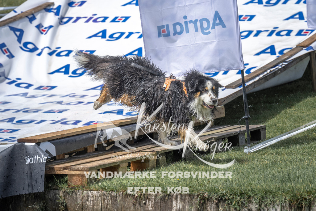 1219_ZZ96739 | kk-dogfotos