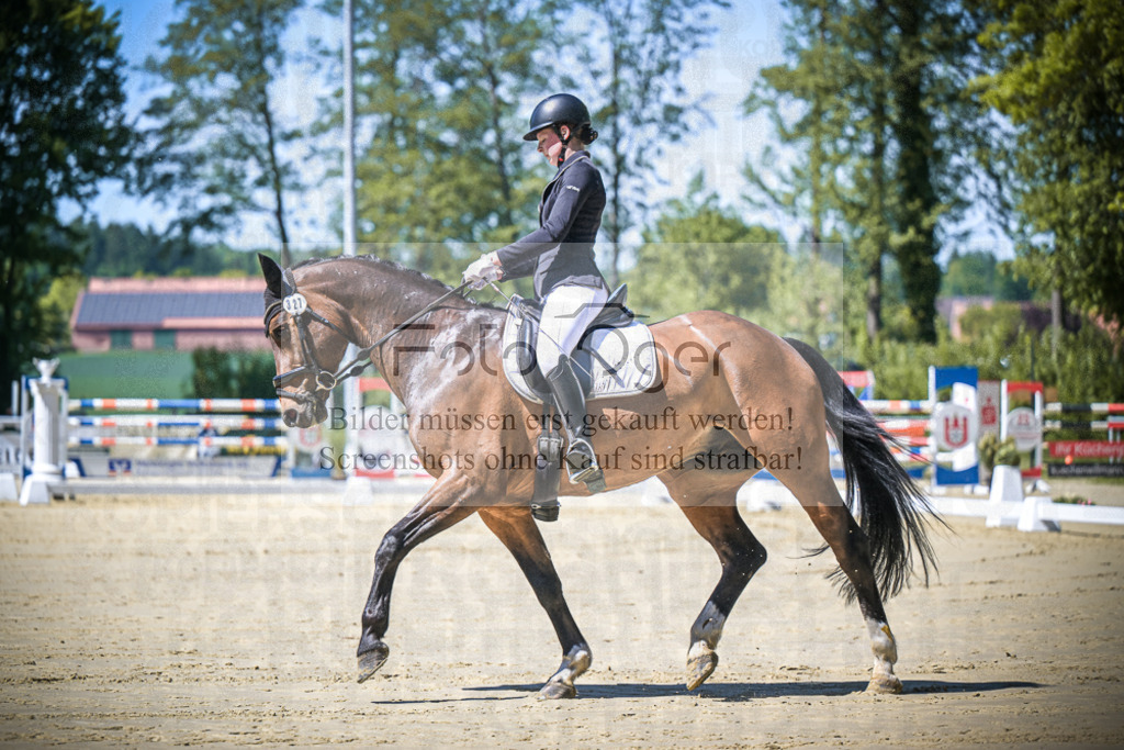 DOS_7937 | Entdecke hochwertige Reitturnierfotos von Foto Oger. Professionell, emotional und authentisch – jetzt Lieblingsmomente im Shop bestellen.Deutschlandweite Turnierfotografie. - Realisiert mit Pictrs.com