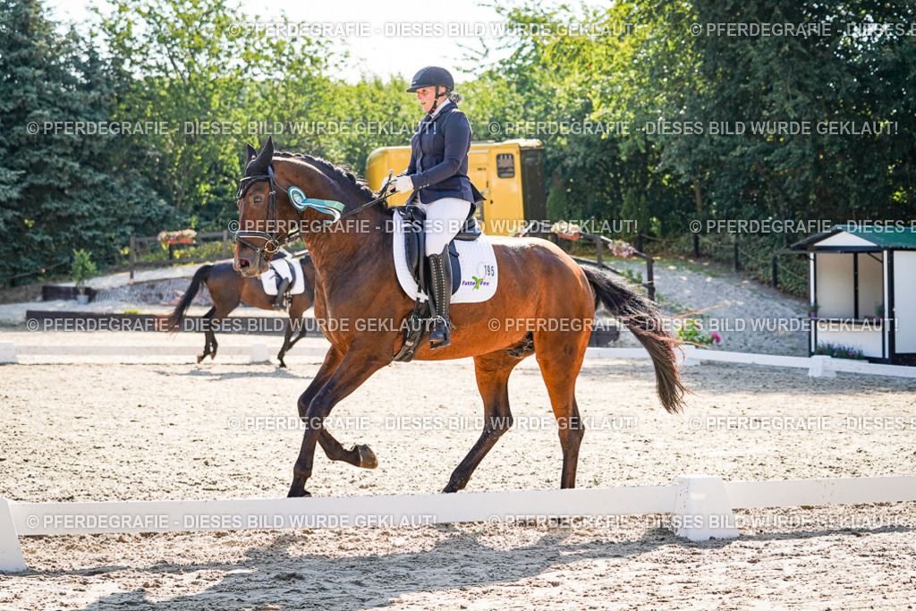 DSC00243 | Pferdegrafie