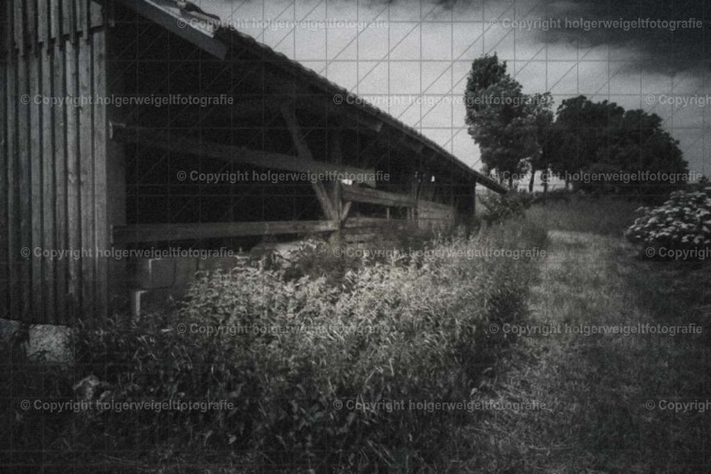 20260616104257Z63_4594 | Kaufen sie online außergewöhnliche Fotografien auf Leinwand Acrylglas Fotoprint Aludibond von holgerweigeltfotografie - Realisiert mit Pictrs.com