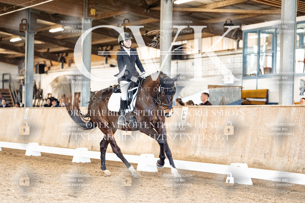 CK909896 | Turnierfotografie Pferdefotografie Trier Rheinland-Pfalz Pferdesport Reitsport Tierfotografie Sportfotografie Pferdevideo Pferdevideografie Equestrianvideography equestrianphotography  - Realisiert mit Pictrs.com