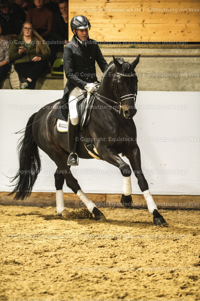 20240302_Hengstvorstellung_Marbach_TOMsPiC_1455 | equistock