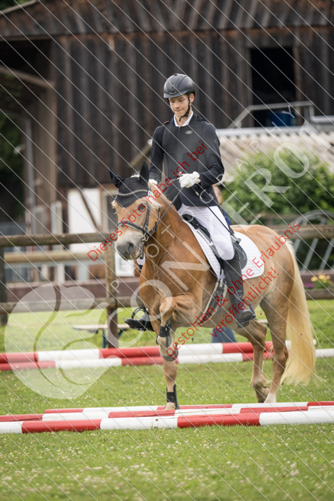 IMG_2390 | Sport-, Event- und Tierfotos in Profiqualität. Einfach auswählen, bestellen und herunterladen. Dein Moment – perfekt festgehalten.