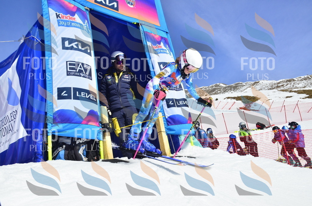 _ELE0664 | holidayphoto