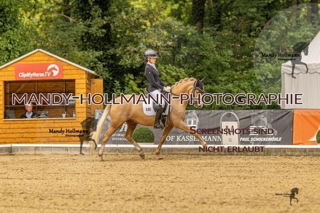 28-8-26 5j DRE-477 | mandyhollmannphotographie