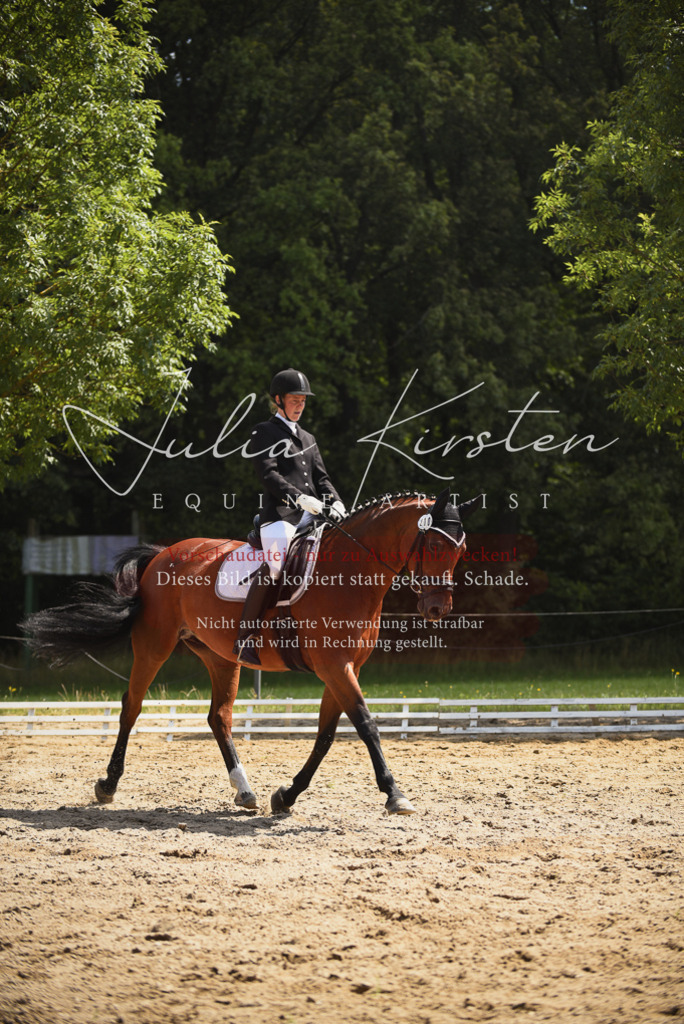 DSC_1023 | Pferde- und Turnierfotografie in Westsachsen. Pferdeportraits, Auftragszeichnungen und intuitive Kunst.