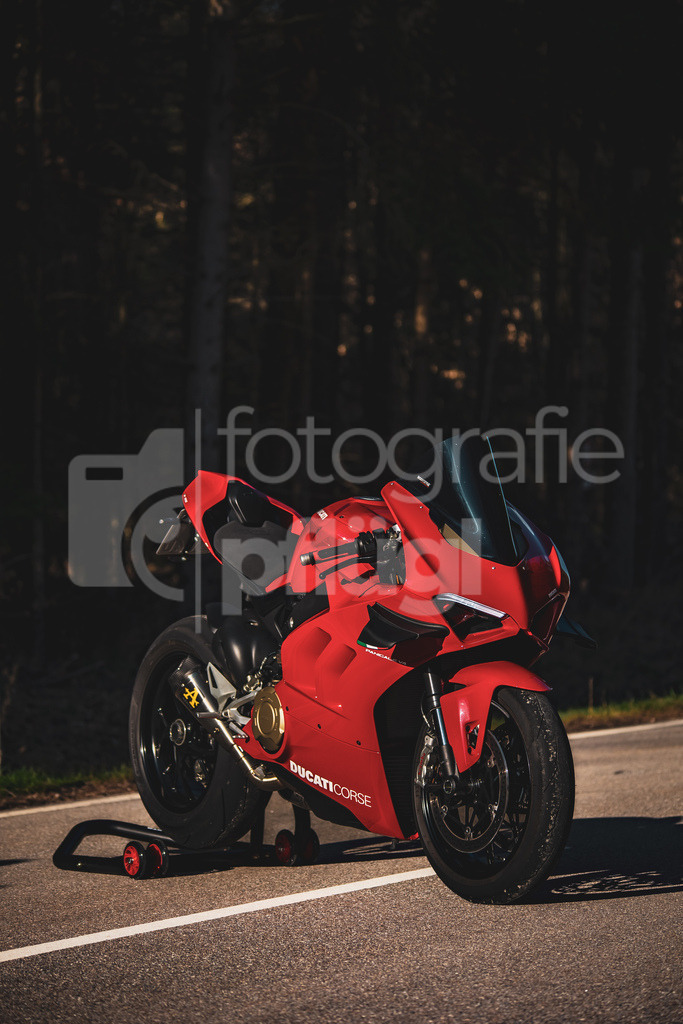 001A4490 | fotografie-pfluegl - Realisiert mit Pictrs.com