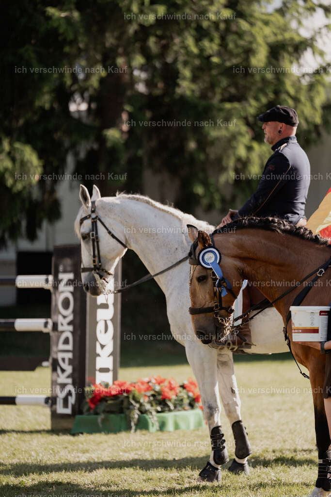 WE_MOS_Stoib_MOSSieger_PI2025_2489 | Pferd International München 2025