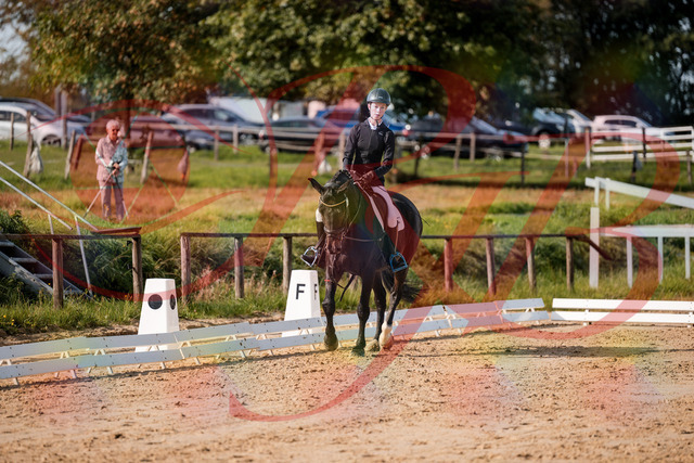 2026_10_03_Siefer-Hof_115459_Z63_30305286 | Professionelle Reitsport-, Turnier- und Eventfotografie von Robert Broda. Galerien mit ausgewählten und bearbeiteten Bildern direkt online ansehen und bestellen.