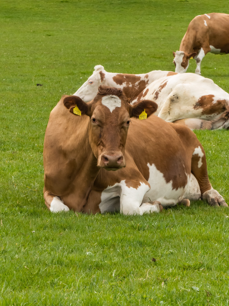 PSX_20230319_224825 | mtkfoto_ - Realisiert mit Pictrs.com