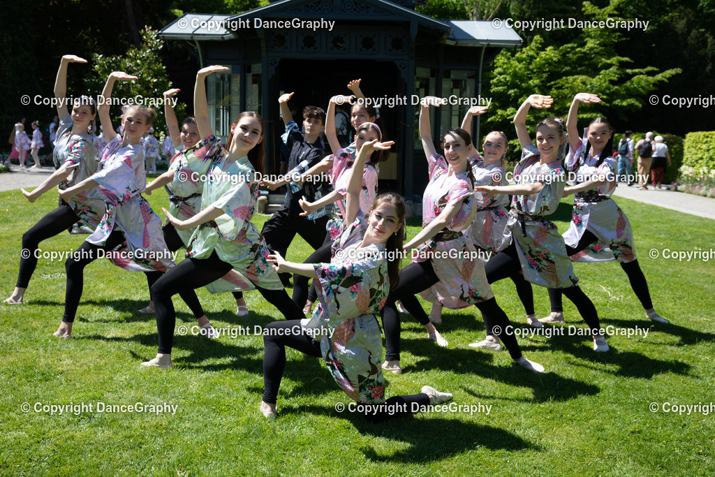 GPHY3954 | DanceGraphy - Realisiert mit Pictrs.com