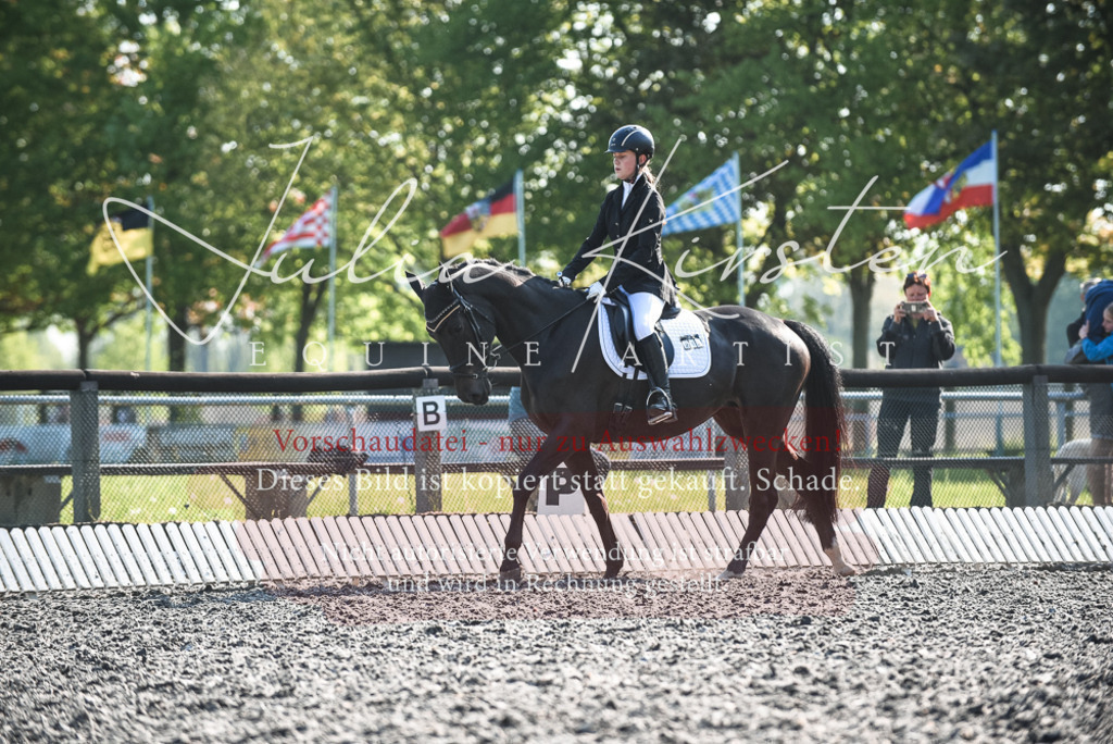 DSC_8332 | Pferde- und Turnierfotografie in Westsachsen. Pferdeportraits, Auftragszeichnungen und intuitive Kunst.