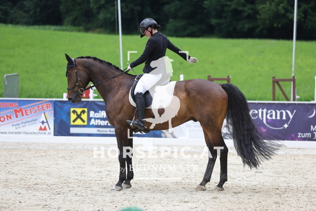 0P6A4917 | Willkommen bei Brunnmayr - Design & Fotografie – Ihrem Spezialisten für Reitturniere und Pferdeveranstaltungen in Oberösterreich, Salzburg und Bayern! Seit über 17 Jahren sind wir leidenschaftlich dabei.