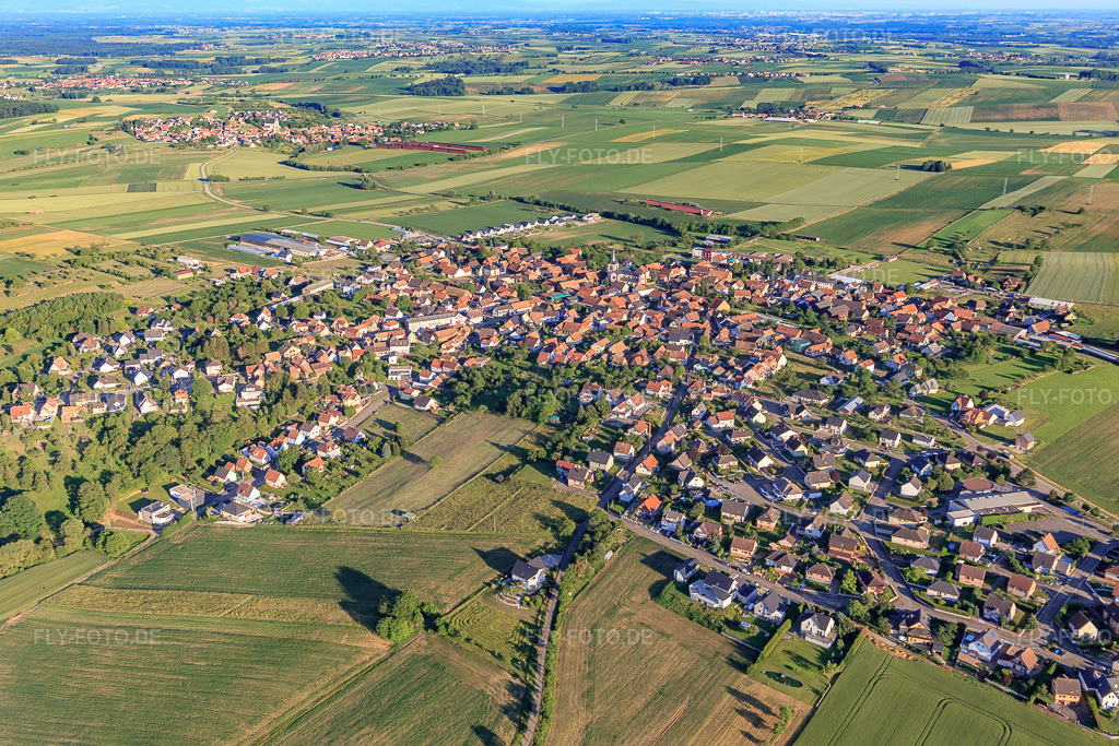 Luftbild: Ortsansicht aus Norden in Dauendorf im Bundesland Bas-Rhin in Frankreich. – Foto: IMG_115459.jpg vom 16.06.2019 durch Werner Riehm/FLY-FOTO.de – Auflösung des Originals: 5087 x 3391 px