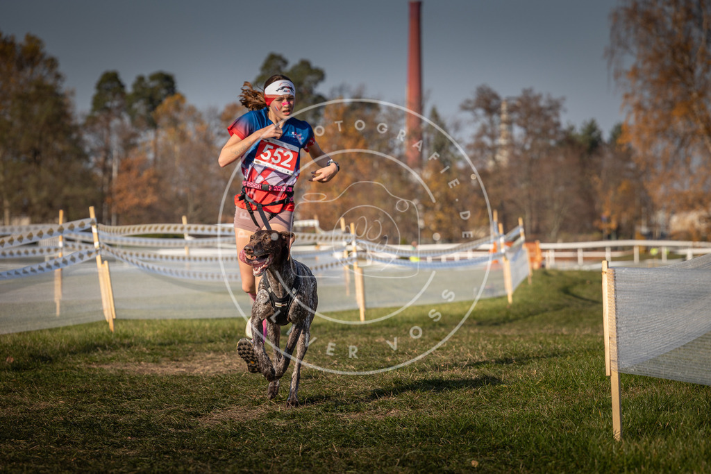 CaniXpix_0L8A9151 | Hundefotografie, Tierfotograf, Pfotenfotografie, Fotoshooting Hund, Hunde Portrait, Hundesport, Hundeportraits, Heideshooting, Hunde, Sportfotograf, Hundefotograf, Turnierhundsport, THS,  - Realisiert mit Pictrs.com
