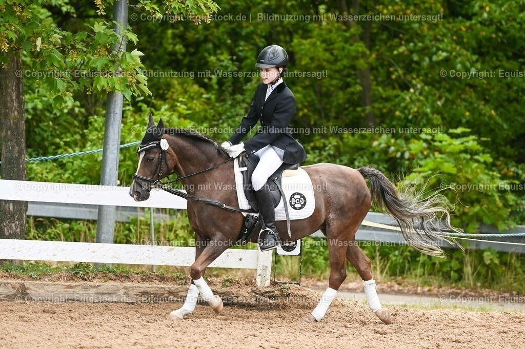 20230716_10-2_Reiter-WB Schritt - Trab - Galopp_0088 | equistock
