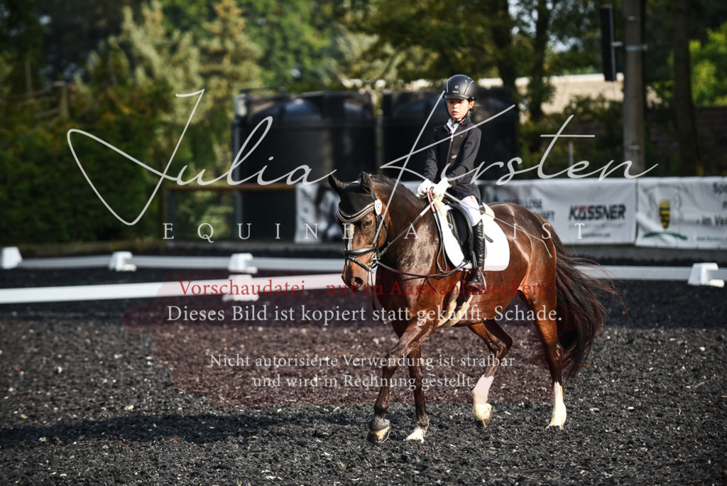 DSC_3517 | Pferde- und Turnierfotografie in Westsachsen. Pferdeportraits, Auftragszeichnungen und intuitive Kunst.