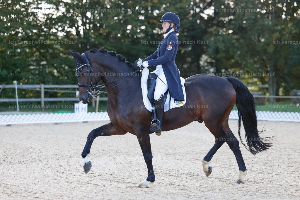 09_1-056-DRESSUR  S_  -StoibPH-5444 | working equitationturnier fotograf videograf stoibphotography marixx film working equitation deutschland reitsport turnierfotografie eventfotografie equestrian events