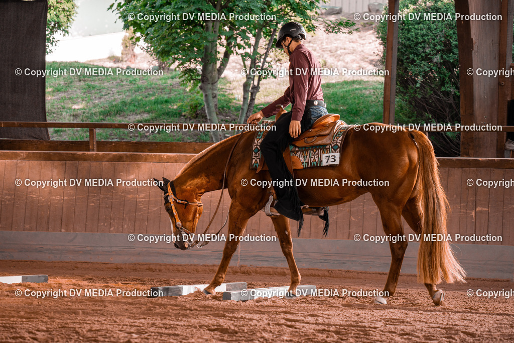 NE300059 | dv-media-shop - Realisiert mit Pictrs.com