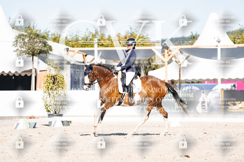 CK908134 | Turnierfotografie Pferdefotografie Trier Rheinland-Pfalz Pferdesport Reitsport Tierfotografie Sportfotografie Pferdevideo Pferdevideografie Equestrianvideography equestrianphotography  - Realisiert mit Pictrs.com