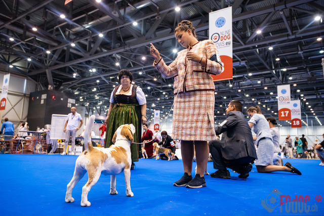 World Dog Show Donnerstag | World Dog Show 2023 Donnerstag im Palexpo in Genf 24.08.2023 Foto: Leo Wyden