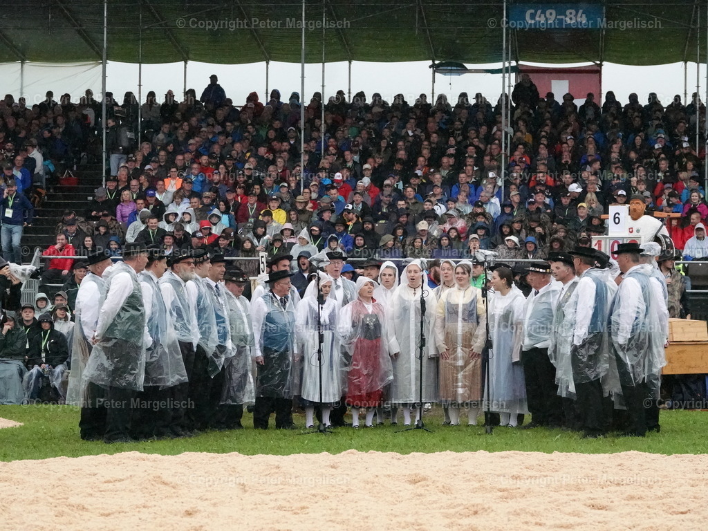 DSC07928 | Schwingen - Realisiert mit Pictrs.com