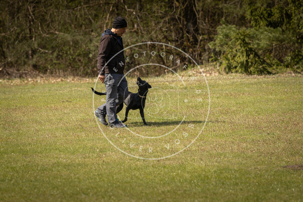 Pfotenfotografie_DV3A1241 | Hundefotografie, Tierfotograf, Pfotenfotografie, Fotoshooting Hund, Hunde Portrait, Hundesport, Hundeportraits, Heideshooting, Hunde, Sportfotograf, Hundefotograf, Turnierhundsport, THS,  - Realisiert mit Pictrs.com