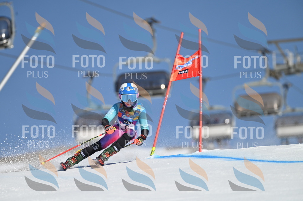 BGV_7556 | holidayphoto