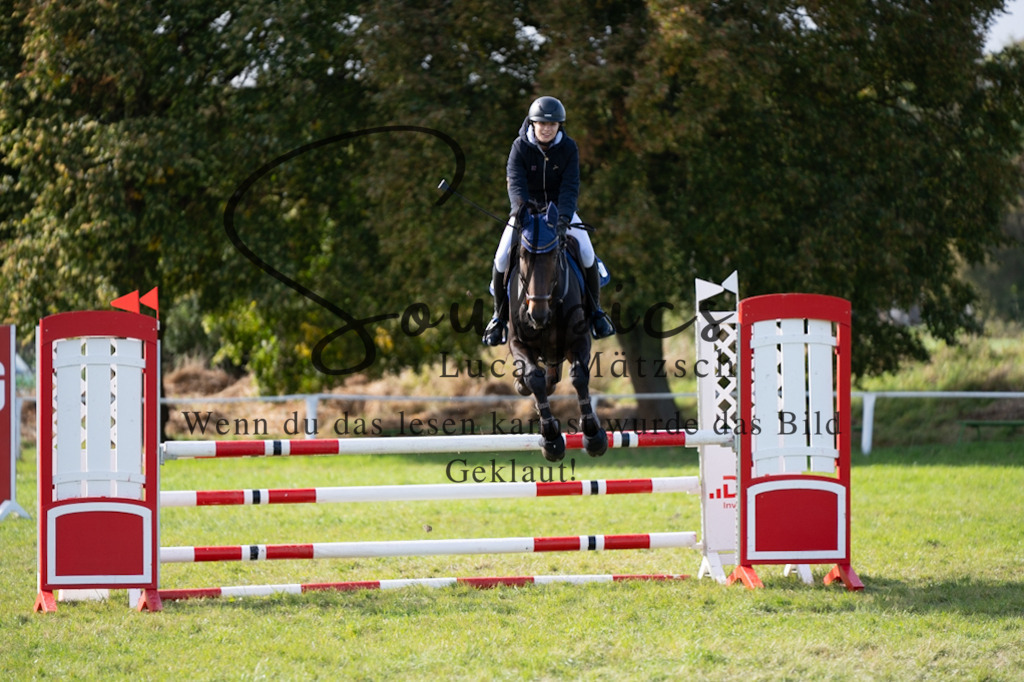 A7V06959 | Pferdefotograf