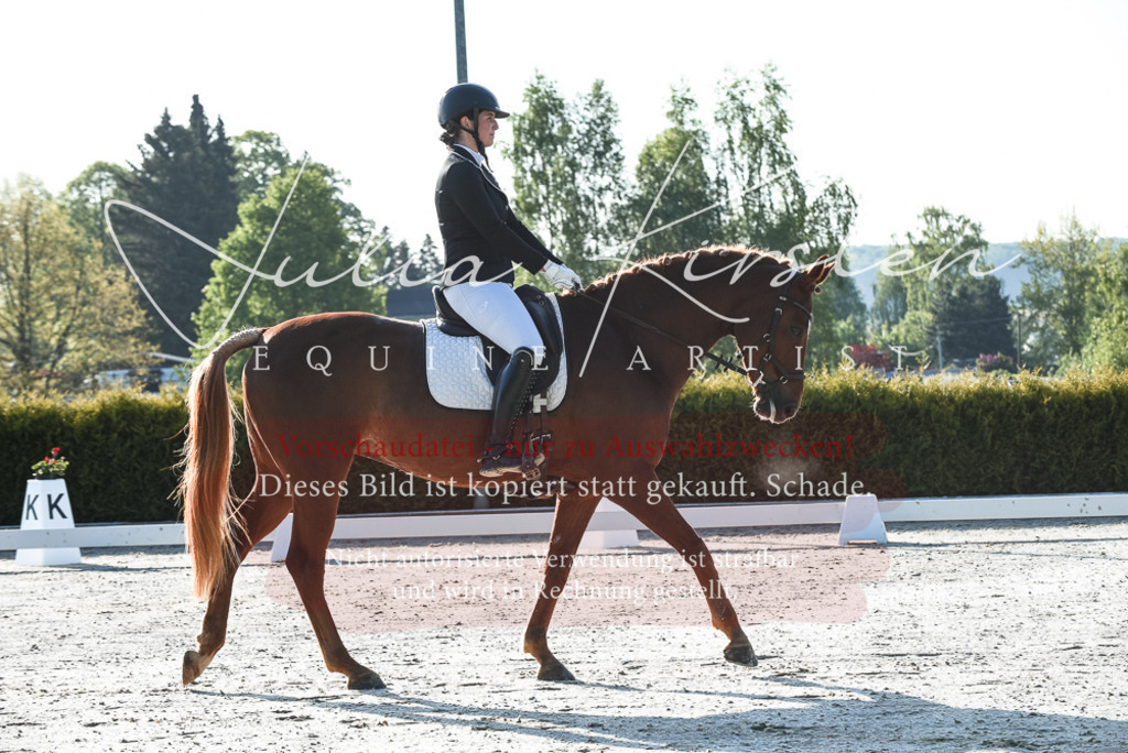 20230518_JK-Röhrsdorf-09-0119 | Pferde- und Turnierfotografie in Westsachsen. Pferdeportraits, Auftragszeichnungen und intuitive Kunst.