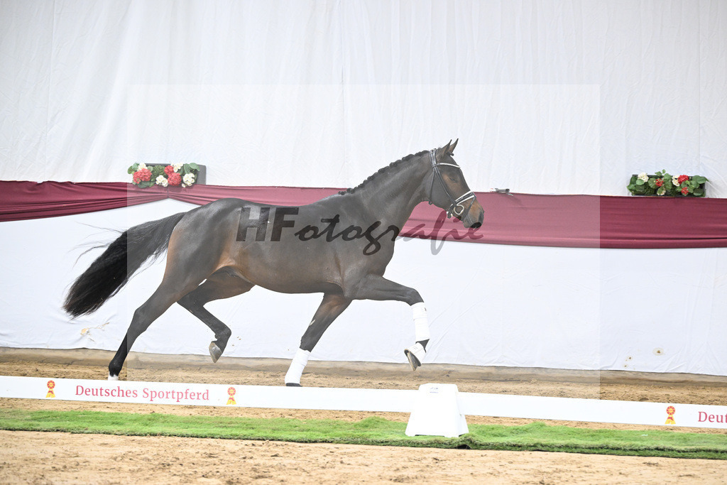 Kat-Nr. 21 St. Emilion x Quantensprung_Marianne Jerich_47250676 | hf-fotografie - Realizzato con Pictrs.com