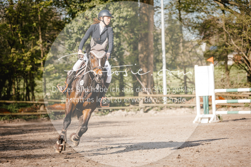3I6A3537 | Stimmungsvolle Portraits und Reitsportfotografie im Ruhrgebiet und im Münsterland.

Pferdefotografie, Hundefotografie, Tierfotografie, Reportagen, Portraits von Tier und Mensch, Turnierfotografie in Bochum, Recklinghausen, Marl, Haltern am See, Dülmen.. - Realisiert mit Pictrs.com